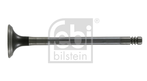 Exhaust Valve
